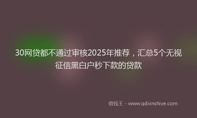 30网贷都不通过审核2025年推荐，汇总5个无视征信黑白户秒下款的贷款