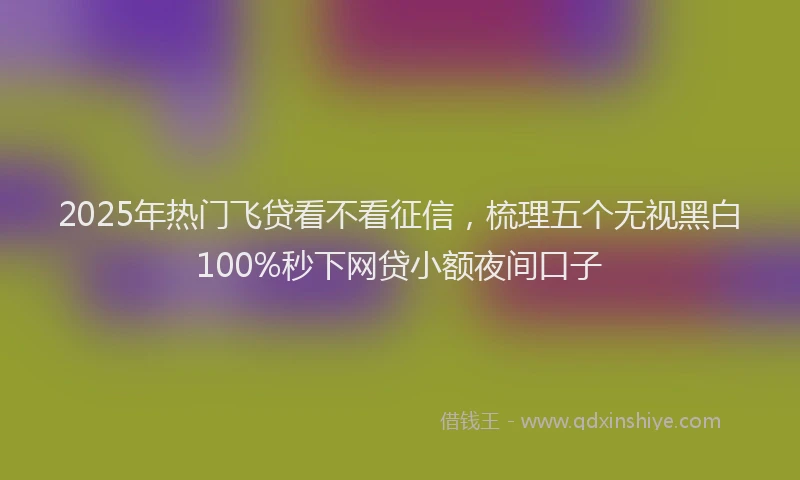 2025年热门飞贷看不看征信，梳理五个无视黑白100%秒下网贷小额夜间口子