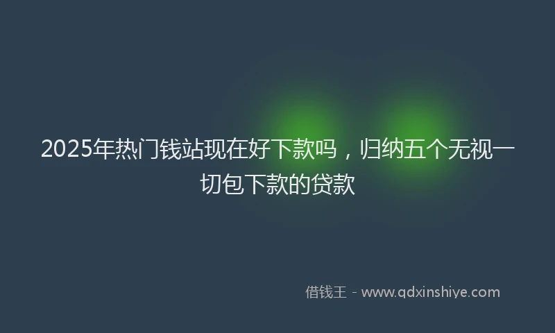 2025年热门钱站现在好下款吗，归纳五个无视一切包下款的贷款