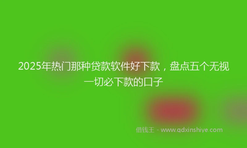 2025年热门那种贷款软件好下款，盘点五个无视一切必下款的口子
