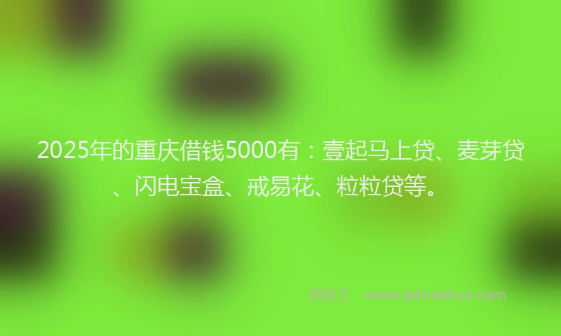 2025年的重庆借钱5000有：壹起马上贷、麦芽贷、闪电宝盒、戒易花、粒粒贷等。