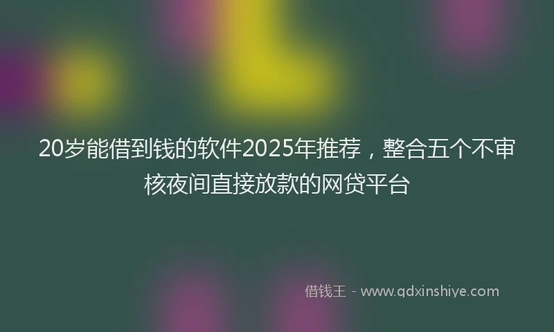 20岁能借到钱的软件2025年推荐，整合五个不审核夜间直接放款的网贷平台