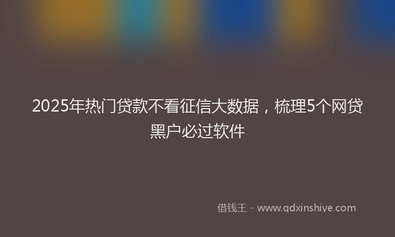 2025年热门贷款不看征信大数据，梳理5个网贷黑户必过软件