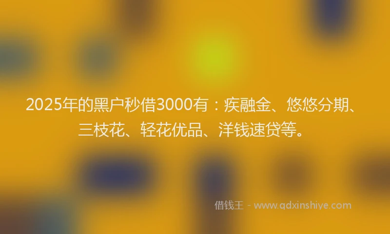 2025年的黑户秒借3000有：疾融金、悠悠分期、三枝花、轻花优品、洋钱速贷等。