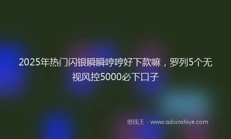 2025年热门闪银瞬瞬哼哼好下款嘛，罗列5个无视风控5000必下口子