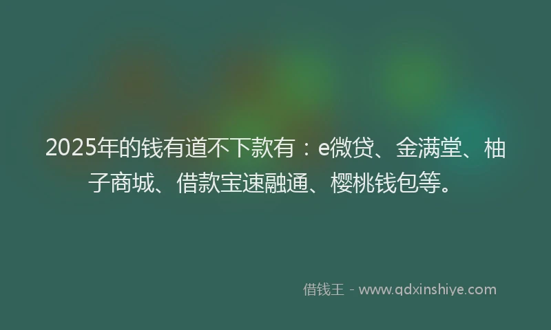 2025年的钱有道不下款有：e微贷、金满堂、柚子商城、借款宝速融通、樱桃钱包等。