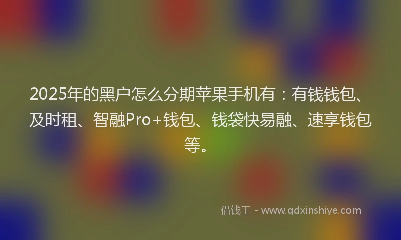 2025年的黑户怎么分期苹果手机有：有钱钱包、及时租、智融Pro+钱包、钱袋快易融、速享钱包等。