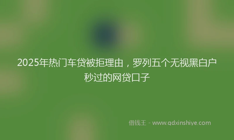2025年热门车贷被拒理由，罗列五个无视黑白户秒过的网贷口子