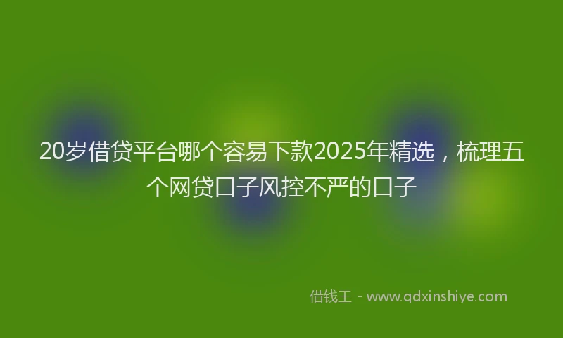 20岁借贷平台哪个容易下款2025年精选，梳理五个网贷口子风控不严的口子