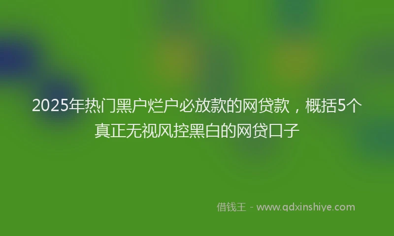 2025年热门黑户烂户必放款的网贷款，概括5个真正无视风控黑白的网贷口子