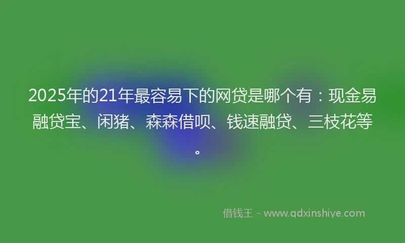 2025年的21年最容易下的网贷是哪个有：现金易融贷宝、闲猪、森森借呗、钱速融贷、三枝花等。
