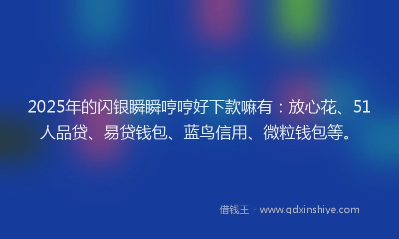 2025年的闪银瞬瞬哼哼好下款嘛有：放心花、51人品贷、易贷钱包、蓝鸟信用、微粒钱包等。