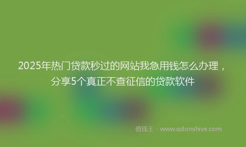 2025年热门贷款秒过的网站我急用钱怎么办理，分享5个真正不查征信的贷款软件
