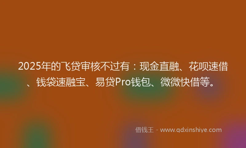 2025年的飞贷审核不过有：现金直融、花呗速借、钱袋速融宝、易贷Pro钱包、微微快借等。