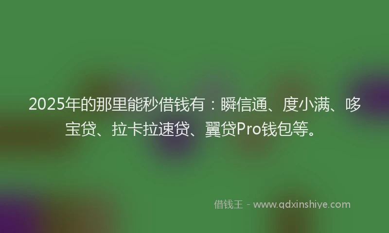 2025年的那里能秒借钱有：瞬信通、度小满、哆宝贷、拉卡拉速贷、翼贷Pro钱包等。