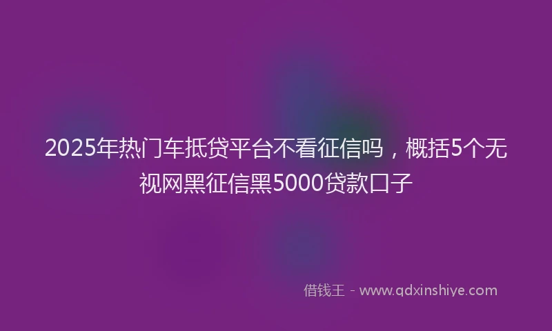 2025年热门车抵贷平台不看征信吗，概括5个无视网黑征信黑5000贷款口子