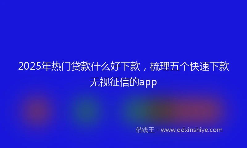 2025年热门贷款什么好下款，梳理五个快速下款无视征信的app