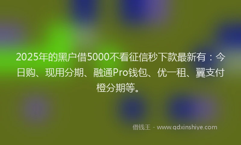 2025年的黑户借5000不看征信秒下款最新有：今日购、现用分期、融通Pro钱包、优一租、翼支付橙分期等。