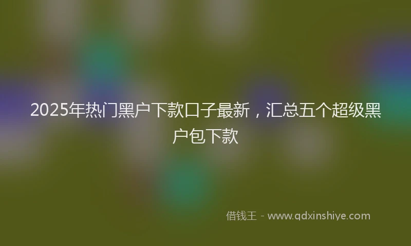 2025年热门黑户下款口子最新，汇总五个超级黑户包下款
