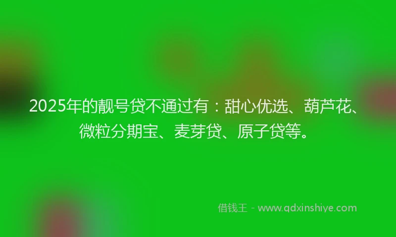 2025年的靓号贷不通过有：甜心优选、葫芦花、微粒分期宝、麦芽贷、原子贷等。