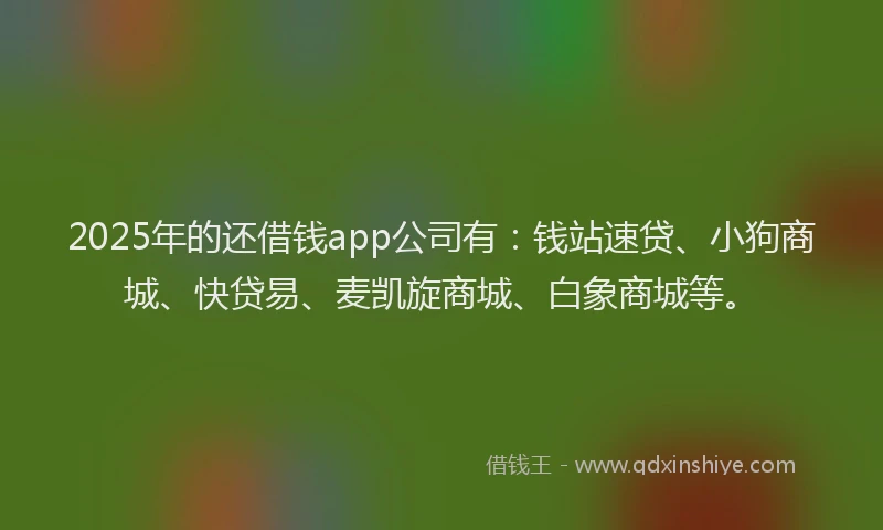 2025年的还借钱app公司有：钱站速贷、小狗商城、快贷易、麦凯旋商城、白象商城等。