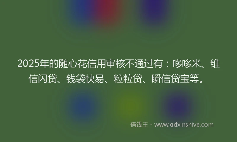 2025年的随心花信用审核不通过有：哆哆米、维信闪贷、钱袋快易、粒粒贷、瞬信贷宝等。
