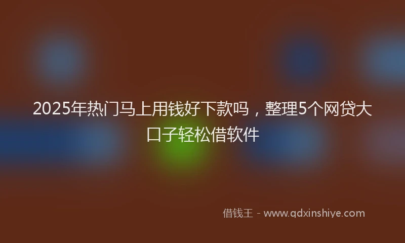2025年热门马上用钱好下款吗，整理5个网贷大口子轻松借软件