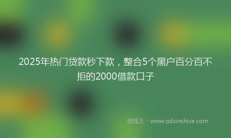 2025年热门贷款秒下款，整合5个黑户百分百不拒的2000借款口子