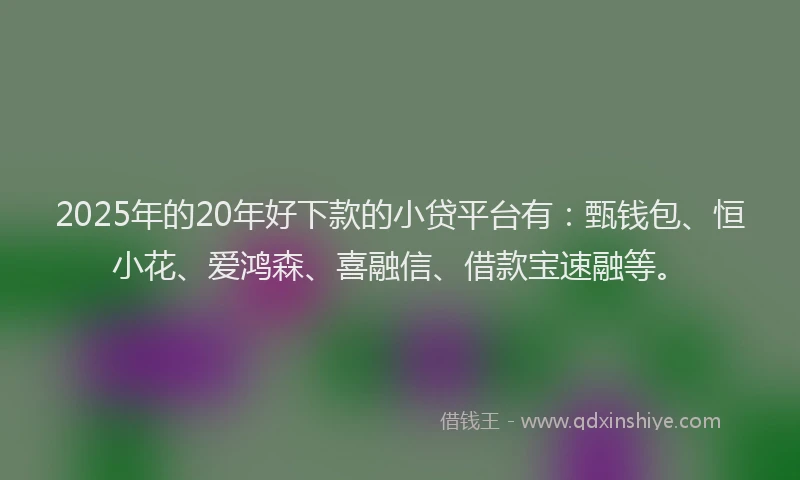 2025年的20年好下款的小贷平台有：甄钱包、恒小花、爱鸿森、喜融信、借款宝速融等。