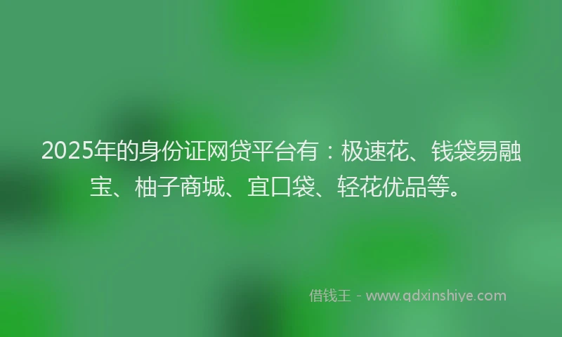 2025年的身份证网贷平台有：极速花、钱袋易融宝、柚子商城、宜口袋、轻花优品等。