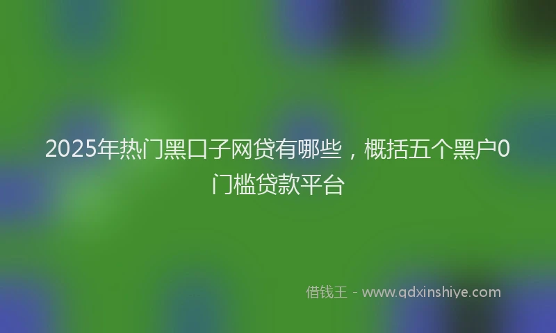 2025年热门黑口子网贷有哪些，概括五个黑户0门槛贷款平台