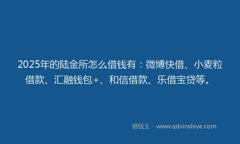 2025年的陆金所怎么借钱有：微博快借、小麦粒借款、汇融钱包+、和信借款、乐借宝贷等。