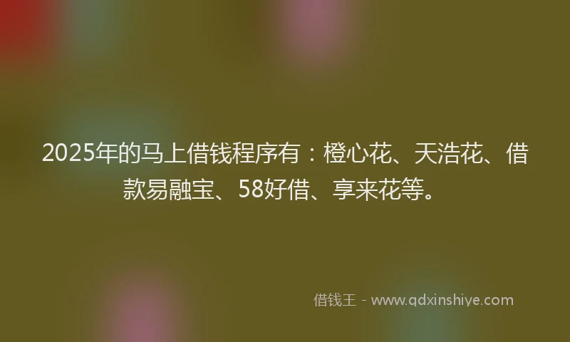 2025年的马上借钱程序有：橙心花、天浩花、借款易融宝、58好借、享来花等。