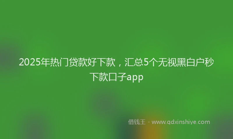 2025年热门贷款好下款，汇总5个无视黑白户秒下款口子app