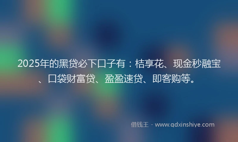 2025年的黑贷必下口子有：桔享花、现金秒融宝、口袋财富贷、盈盈速贷、即客购等。