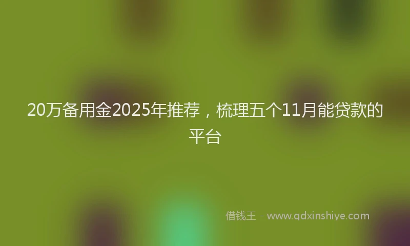 20万备用金2025年推荐，梳理五个11月能贷款的平台