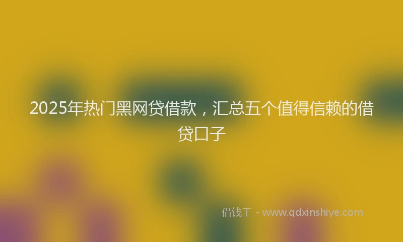 2025年热门黑网贷借款，汇总五个值得信赖的借贷口子