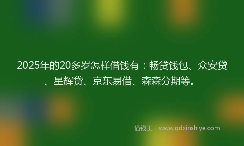 2025年的20多岁怎样借钱有：畅贷钱包、众安贷、星辉贷、京东易借、森森分期等。