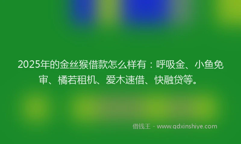 2025年的金丝猴借款怎么样有：呼吸金、小鱼免审、橘若租机、爱木速借、快融贷等。