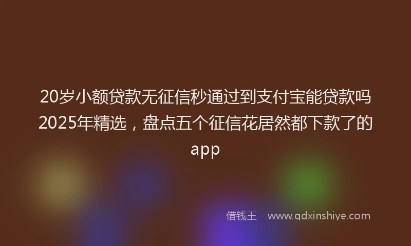 20岁小额贷款无征信秒通过到支付宝能贷款吗2025年精选，盘点五个征信花居然都下款了的app