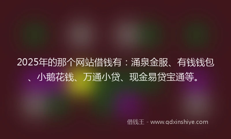 2025年的那个网站借钱有：涌泉金服、有钱钱包、小鹅花钱、万通小贷、现金易贷宝通等。