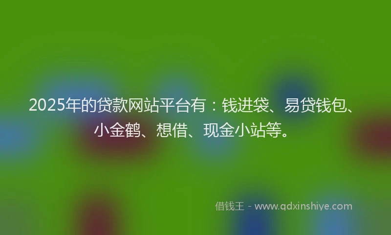 2025年的贷款网站平台有：钱进袋、易贷钱包、小金鹤、想借、现金小站等。