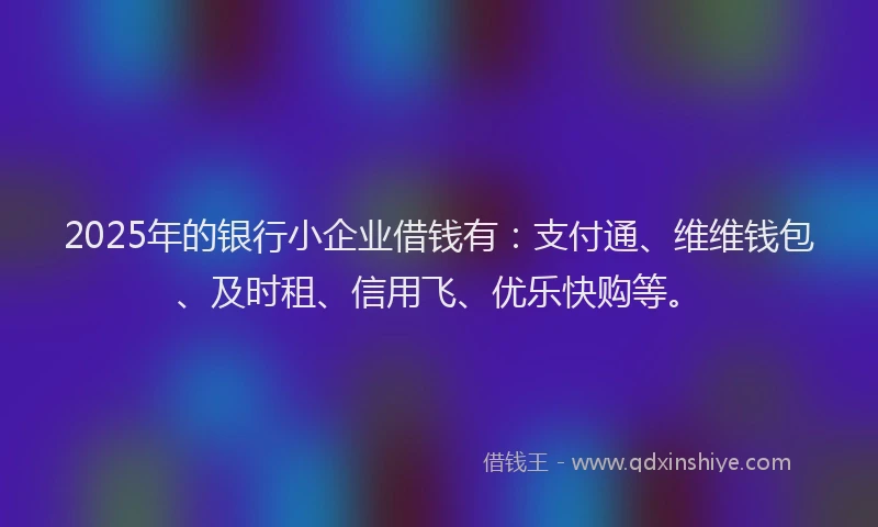 2025年的银行小企业借钱有：支付通、维维钱包、及时租、信用飞、优乐快购等。