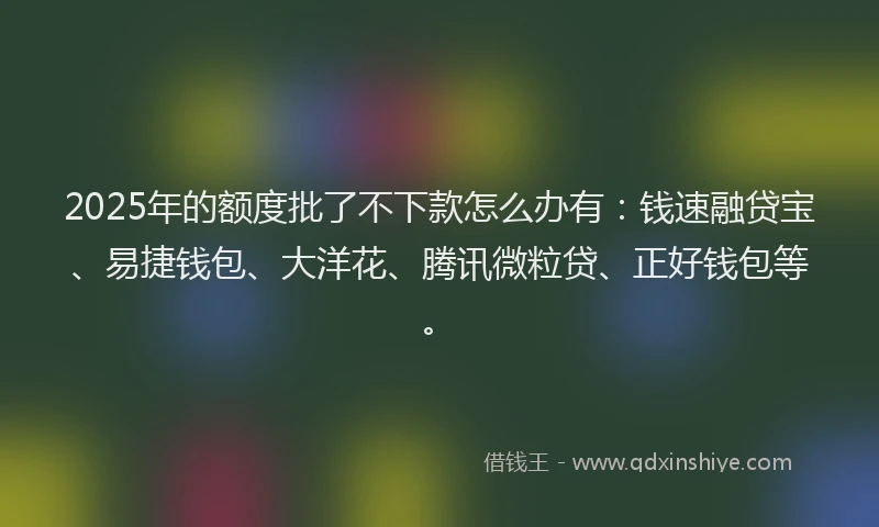 2025年的额度批了不下款怎么办有：钱速融贷宝、易捷钱包、大洋花、腾讯微粒贷、正好钱包等。