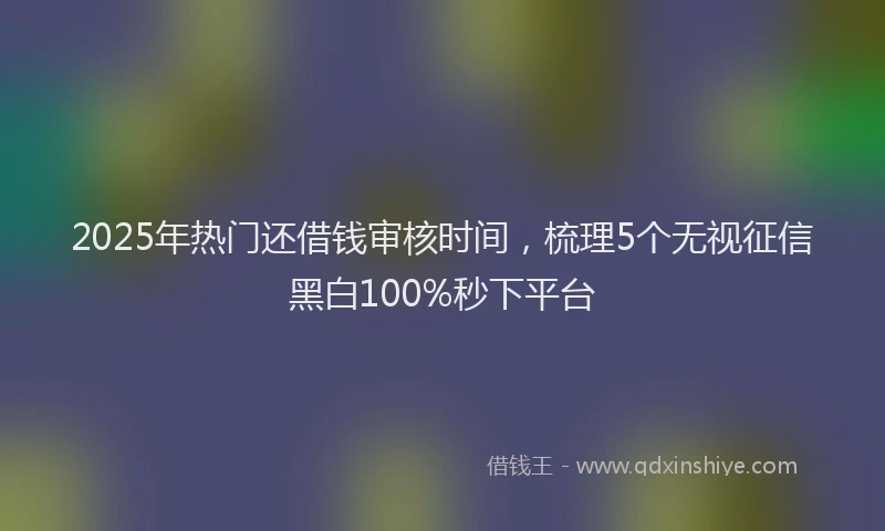 2025年热门还借钱审核时间，梳理5个无视征信黑白100%秒下平台