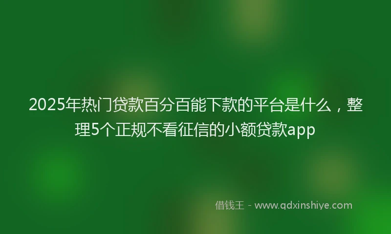 2025年热门贷款百分百能下款的平台是什么，整理5个正规不看征信的小额贷款app