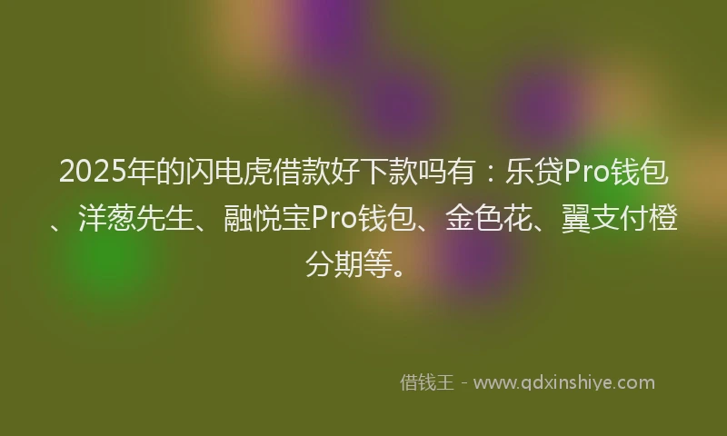 2025年的闪电虎借款好下款吗有：乐贷Pro钱包、洋葱先生、融悦宝Pro钱包、金色花、翼支付橙分期等。