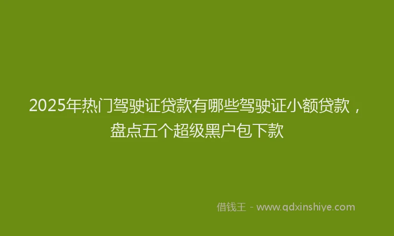 2025年热门驾驶证贷款有哪些驾驶证小额贷款，盘点五个超级黑户包下款