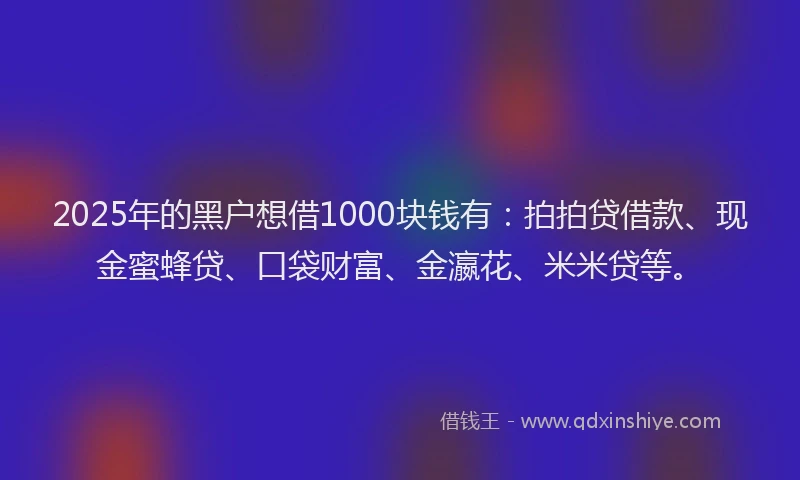 2025年的黑户想借1000块钱有：拍拍贷借款、现金蜜蜂贷、口袋财富、金瀛花、米米贷等。