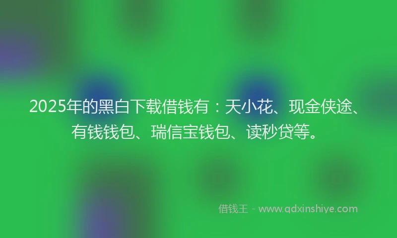 2025年的黑白下载借钱有：天小花、现金侠途、有钱钱包、瑞信宝钱包、读秒贷等。